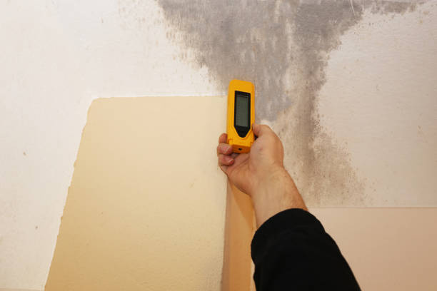 Best Forensic Mold Investigation  in Humble, TX